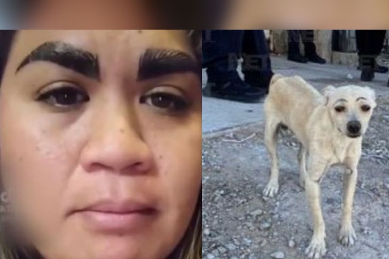 Video Paga M S De Mil Pesos Por Hacerse Las Cejas Y Sale Mal