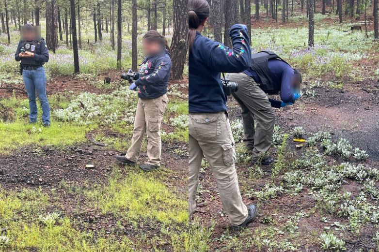 Hallan Restos Seos Calcinados En Madera