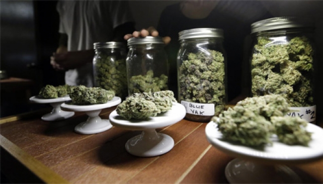 Cofepris aclara permisos para importar medicamento derivado de cannabis