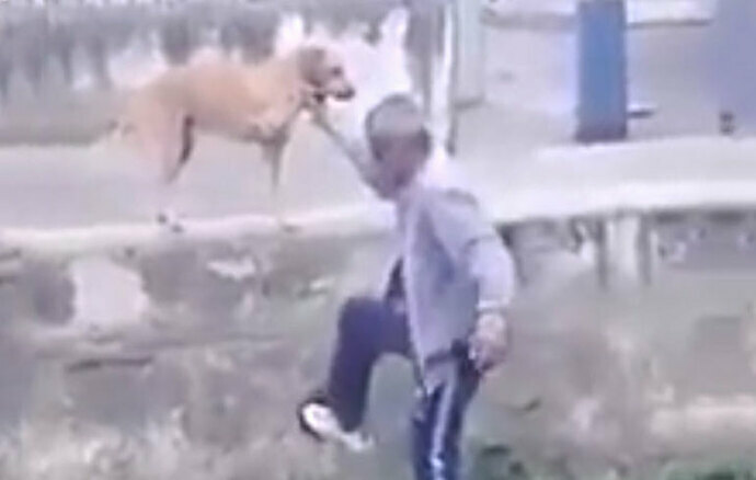 Borracho le pide ayuda a su perro para saltar una barda