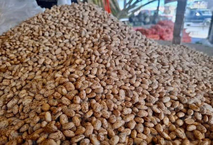 Productores venden frijol a 20 pesos en 27 centros comunitarios