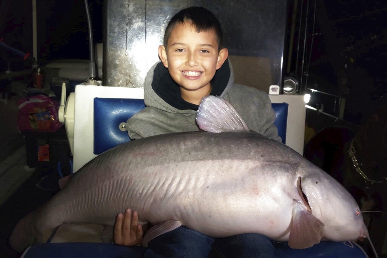 Niño atrapa pez gato de 19 kilos en NM