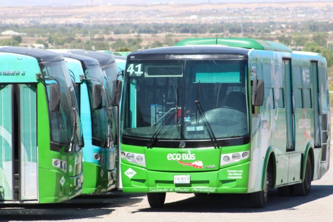Da Ecobús servicio con más unidades