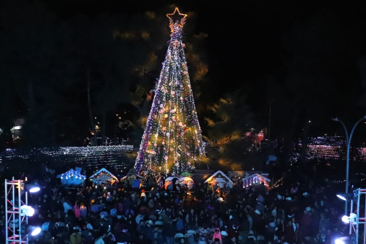 Encienden mega árbol navideño en Cuauhtémoc
