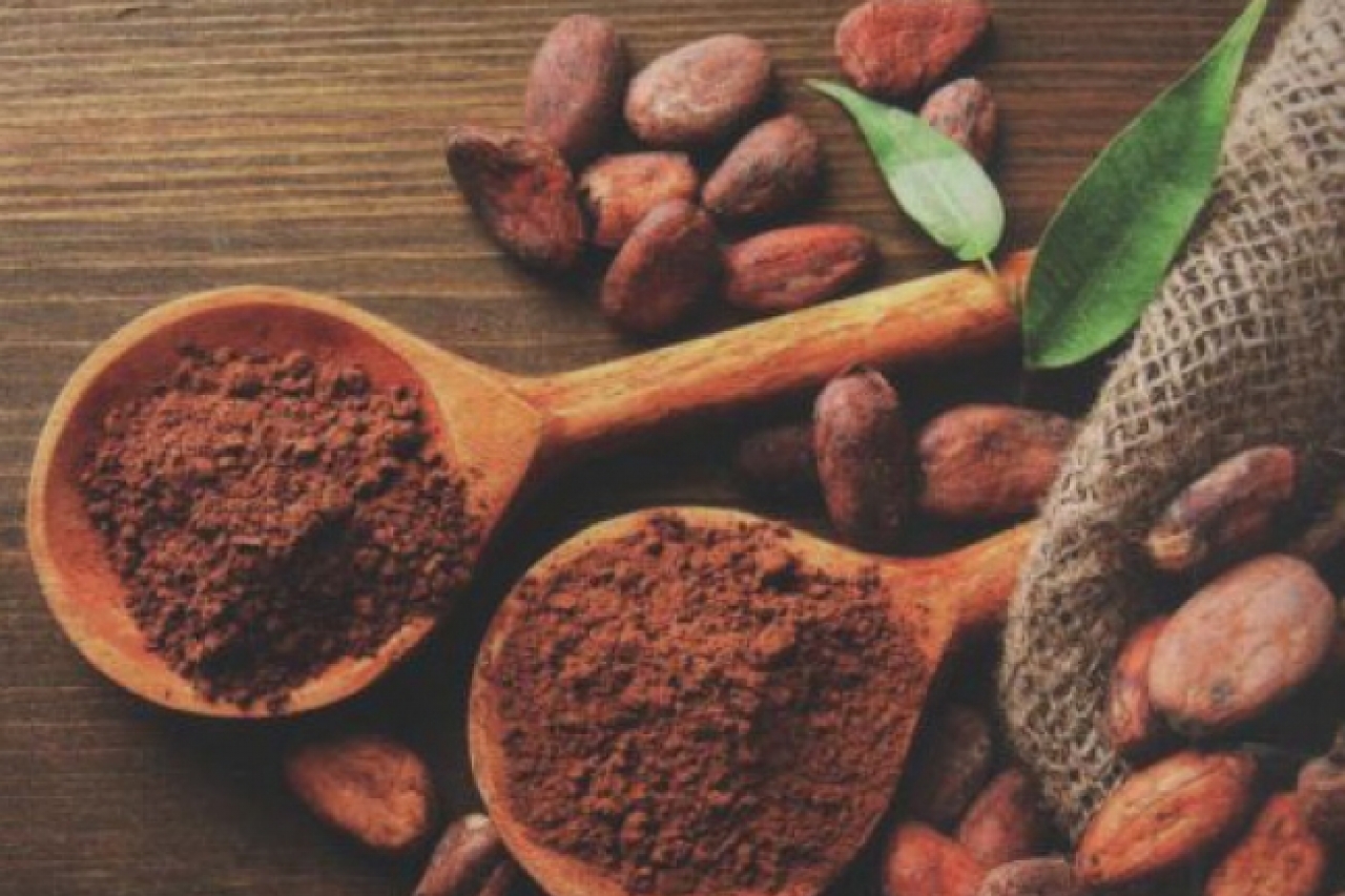 Crean cacao resistente a enfermedades