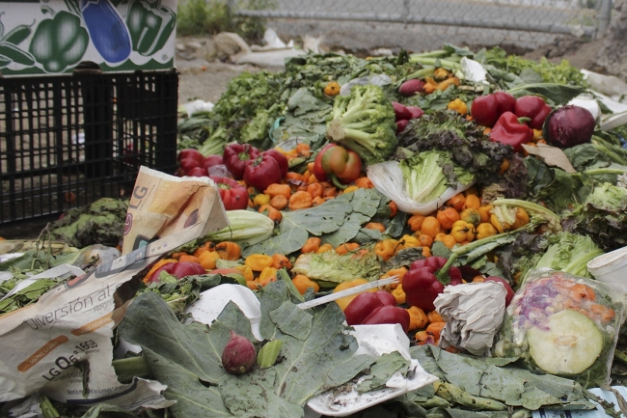 Desperdicia México 20.4 millones de toneladas de alimentos al año
