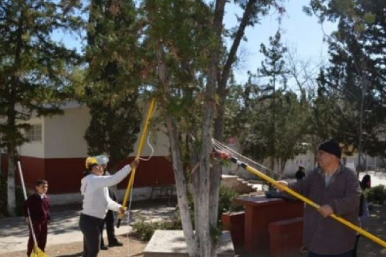 Podan árboles en escuelas de Chihuahua