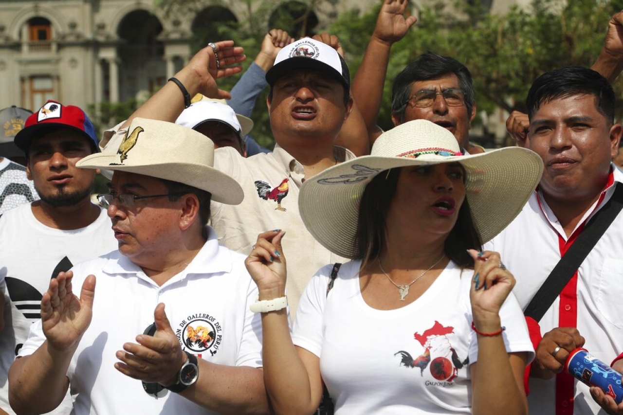 Marchan en Perú defensores de peleas gallos y corridas de toros
