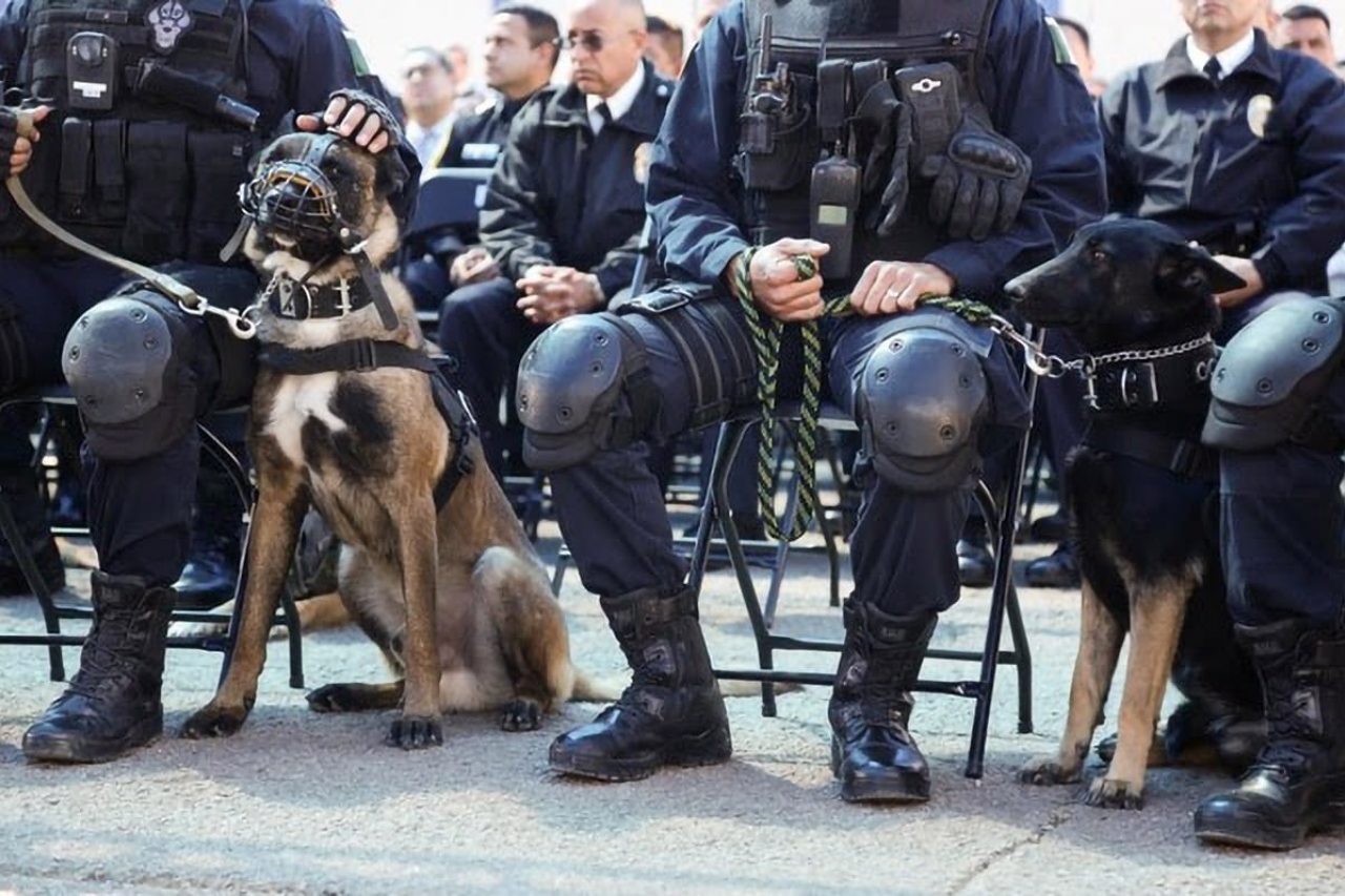 Chihuahua: Policía dispara al aire en su día de descanso