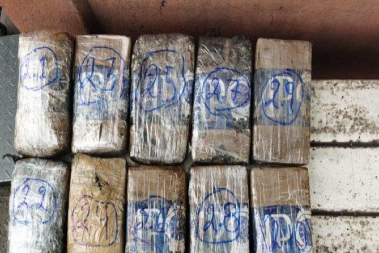 Decomisan cocaína colombiana en Michoacán