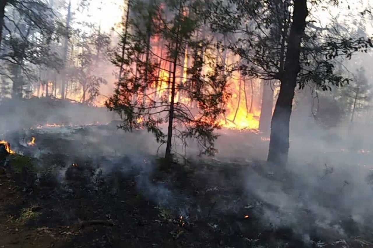 Registra estado más de 100 incendios forestales en 2021
