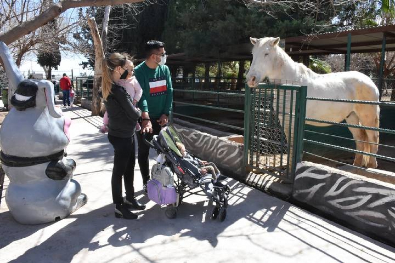 Espera Zoológico de Chihuahua más visitantes