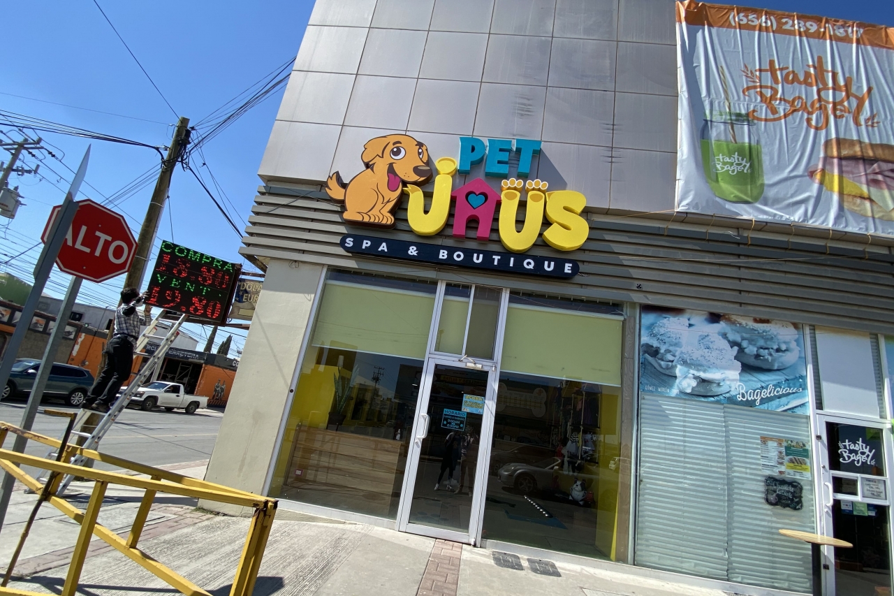 Consiente a tu mascota en un espacio seguro y confiable: Pet Jaus llega a Juárez