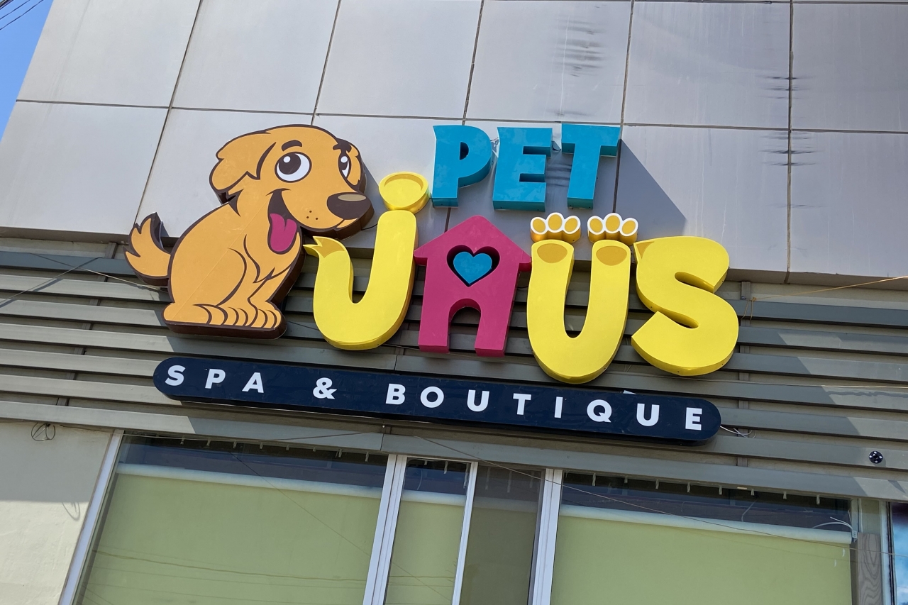 Consiente a tu mascota en un espacio seguro y confiable: Pet Jaus llega a Juárez