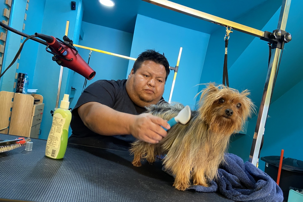 Consiente a tu mascota en un espacio seguro y confiable: Pet Jaus llega a Juárez