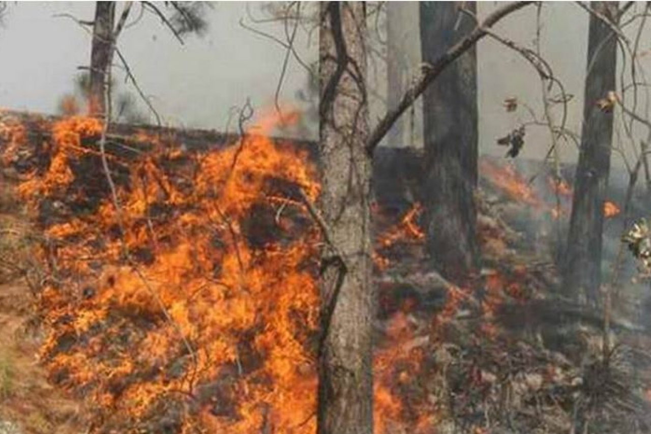 Incendio en Bocoyna se extiende a área natural protegida