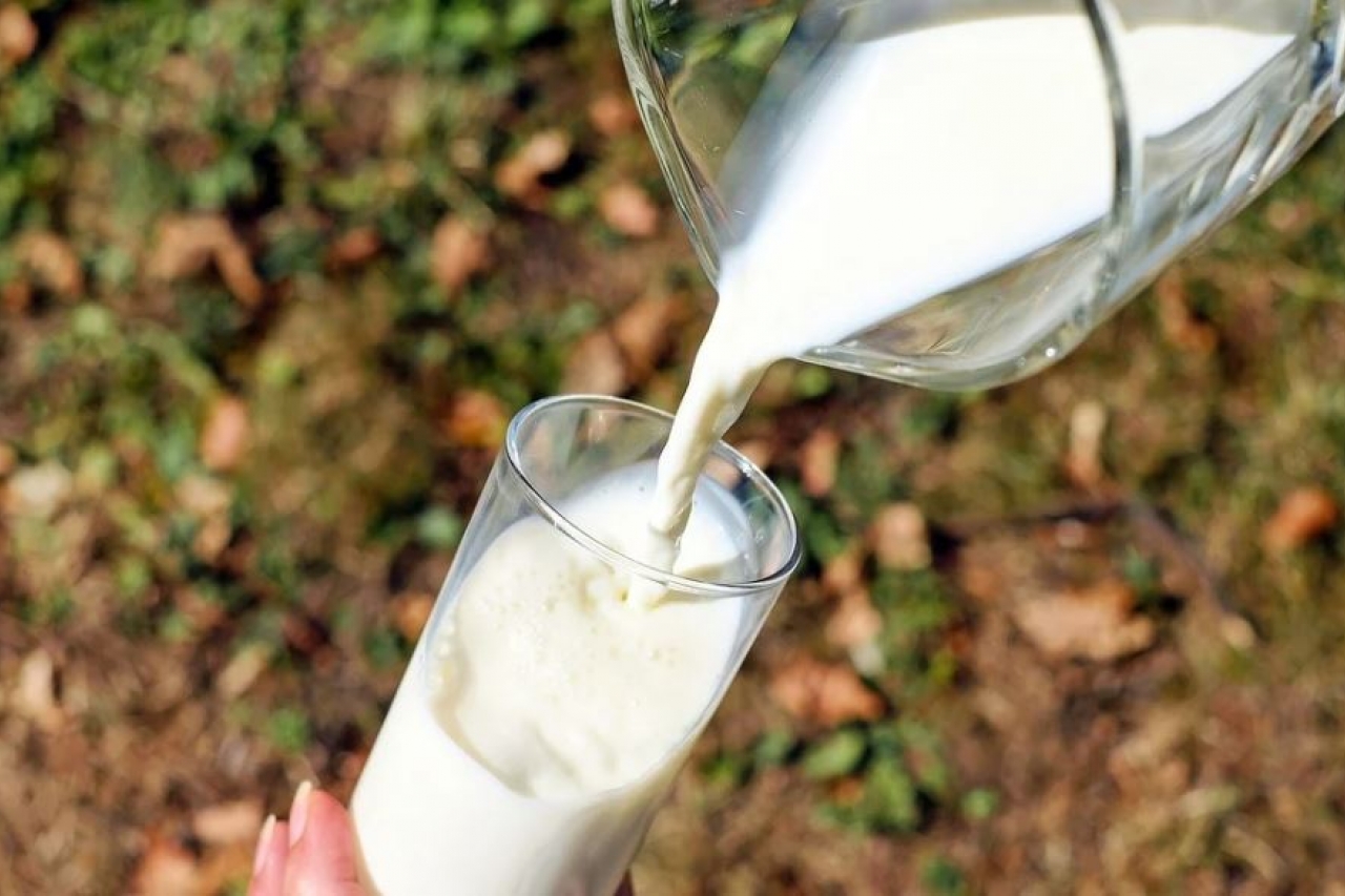 Revela Profeco cuáles son las leches con alta proteína