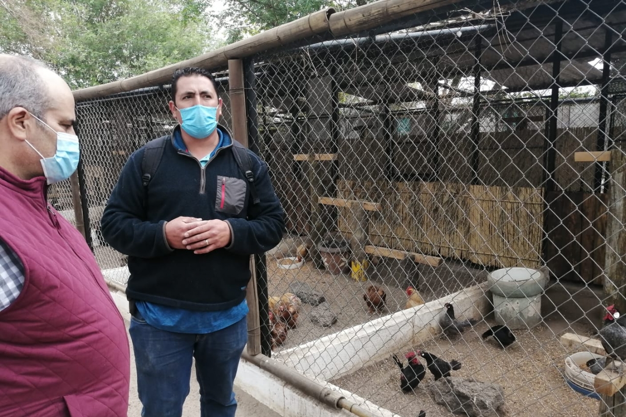 Dona candidato comida a animales del zoo San Jorge