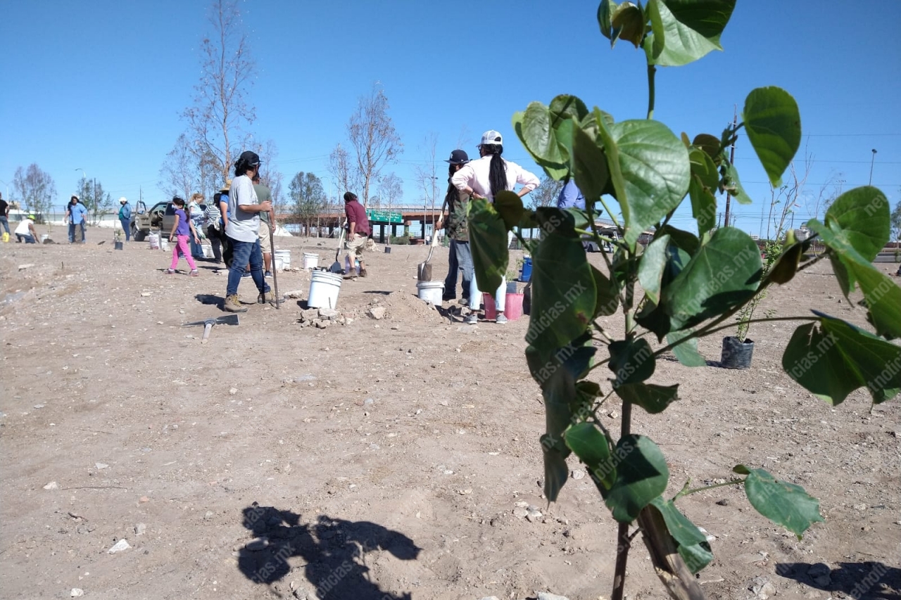 Juarenses se unen por reforestar El Chamizal