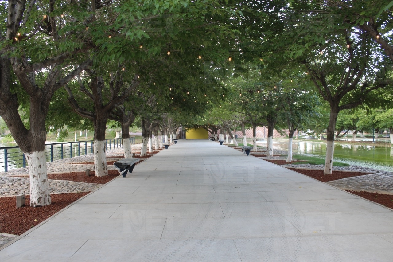 Galería: Así se ve el renovado Parque Central