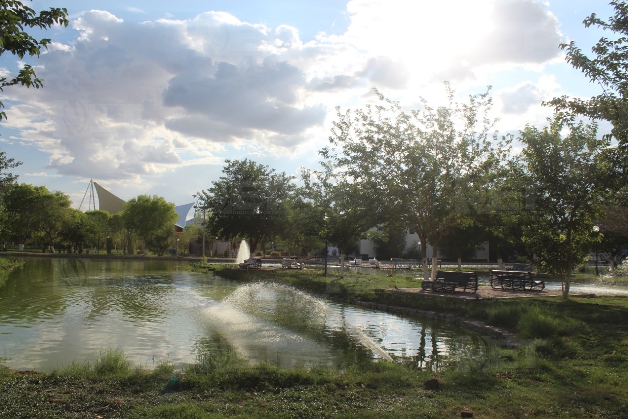 Galería: Así se ve el renovado Parque Central