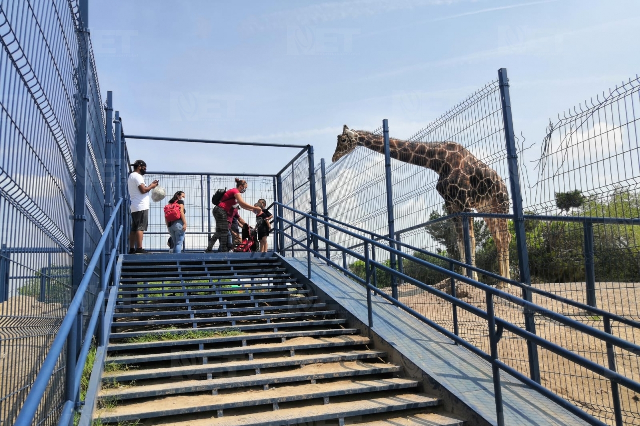 Video: Regresan familias al Parque Central