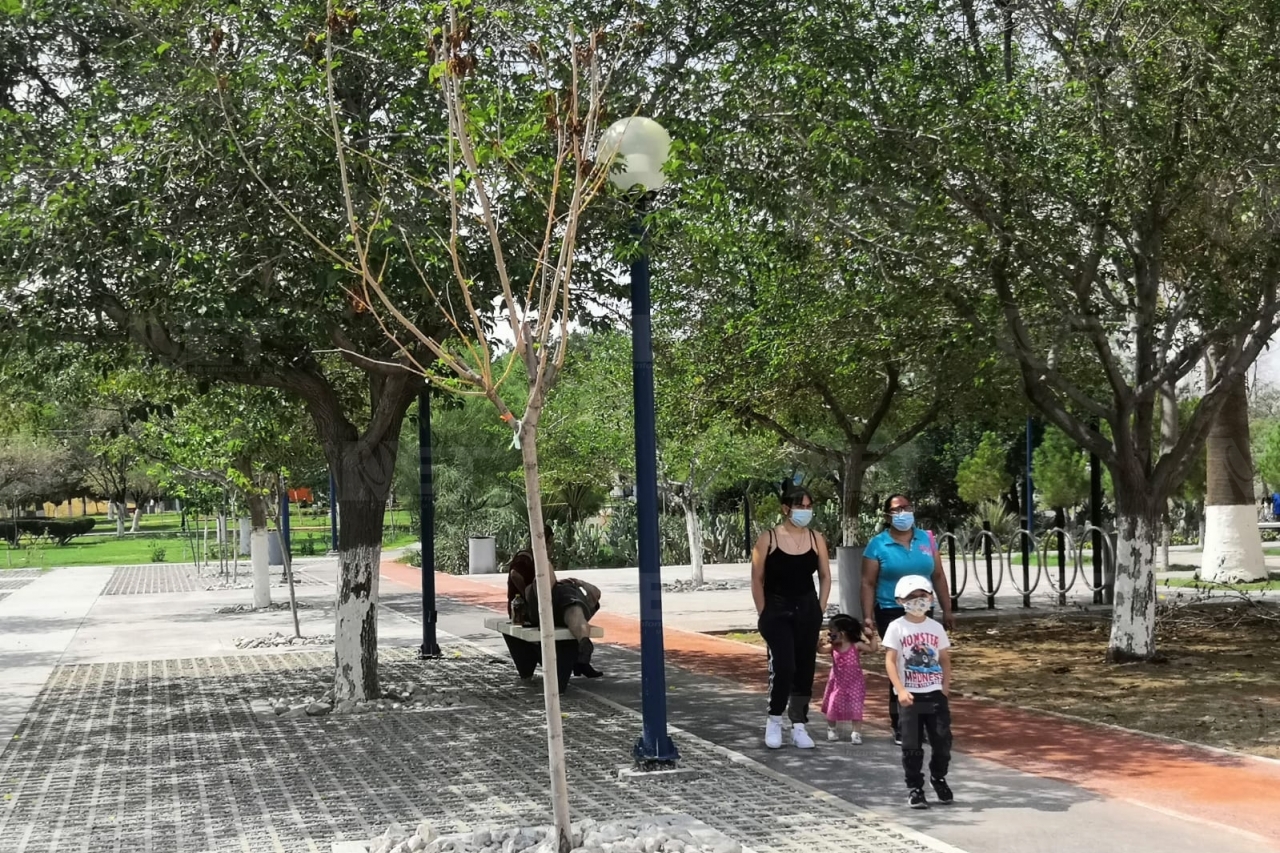 Video: Regresan familias al Parque Central