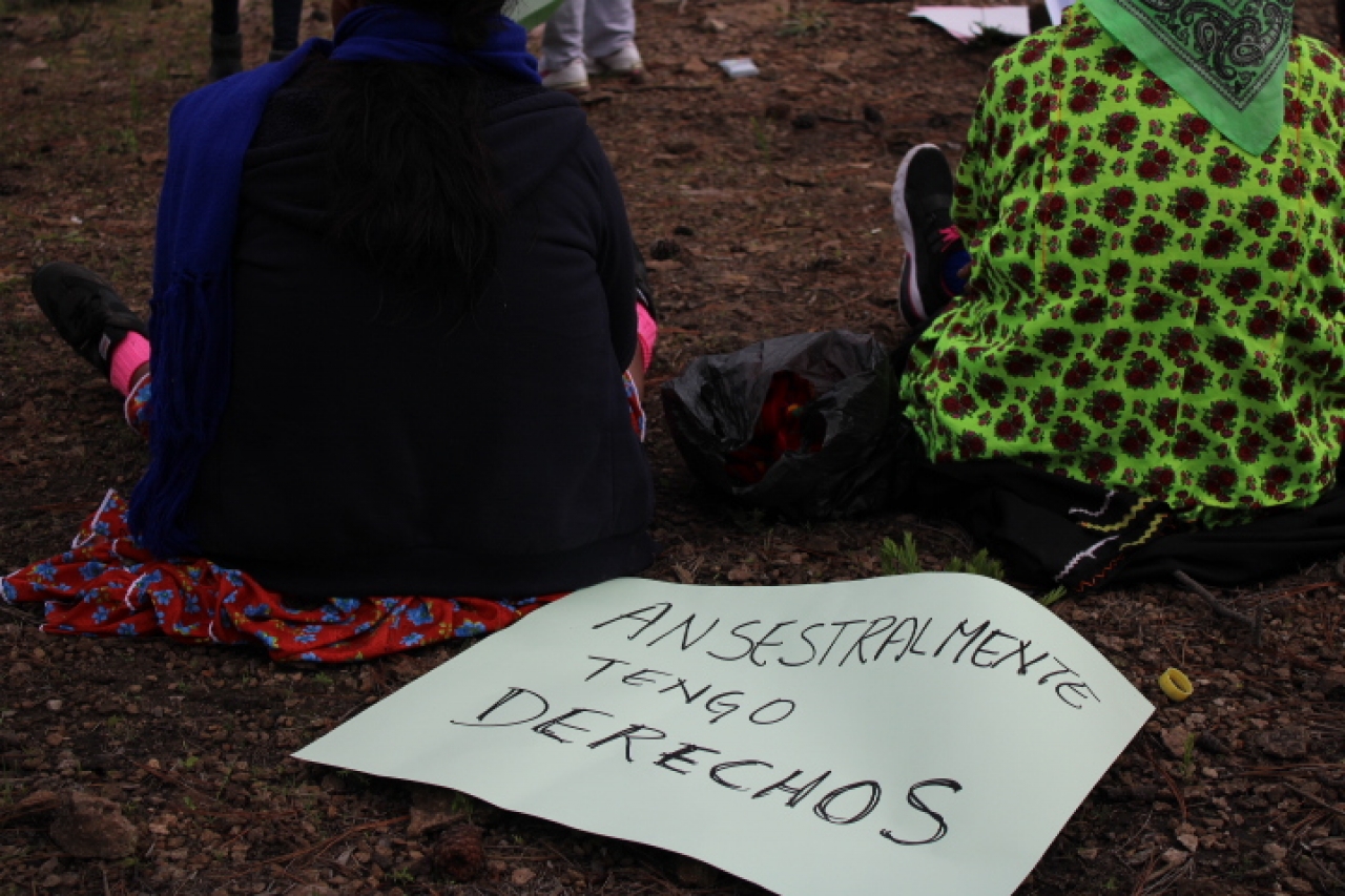 Exigen rarámuris reconocimiento de su territorio ancestral