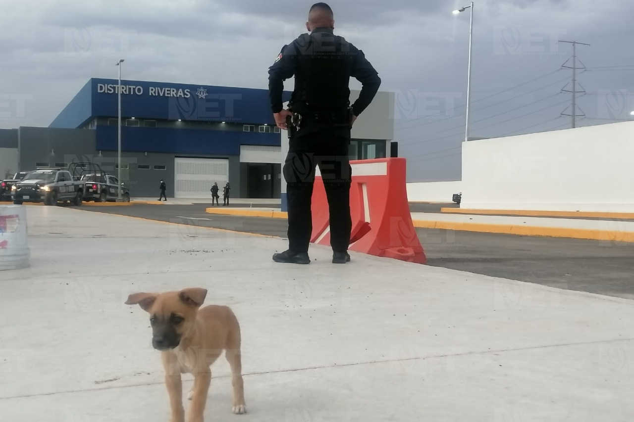 Gabriel Barraza