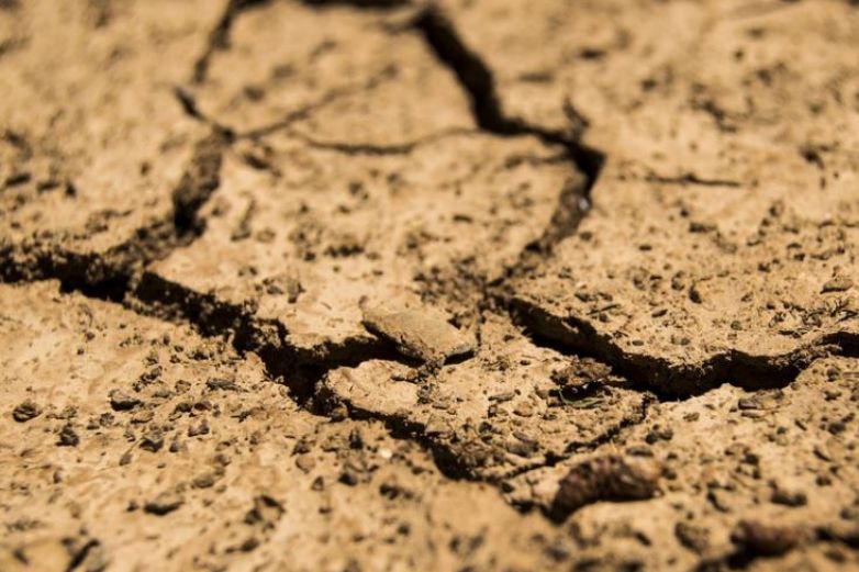 Prevén que 2026 traiga más lluvias y alivie la sequía en Chihuahua