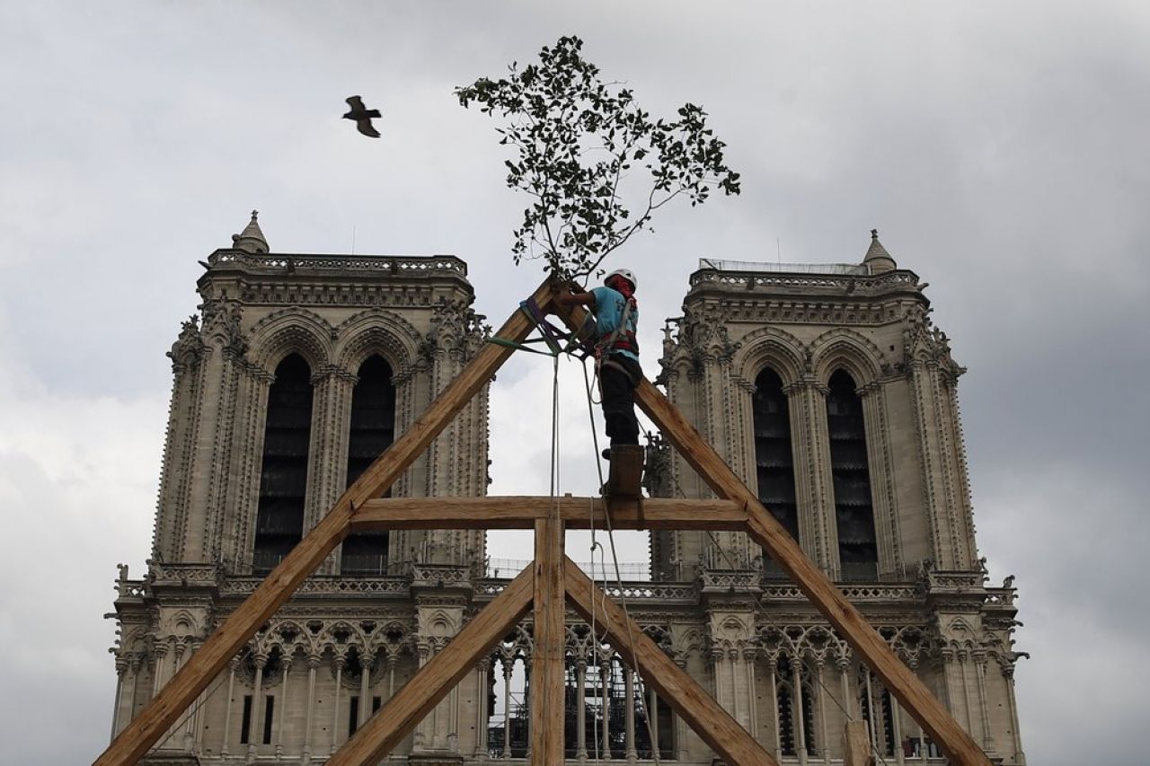 Estabilizan la catedral de Notre Dame, sigue la reconstrucción
