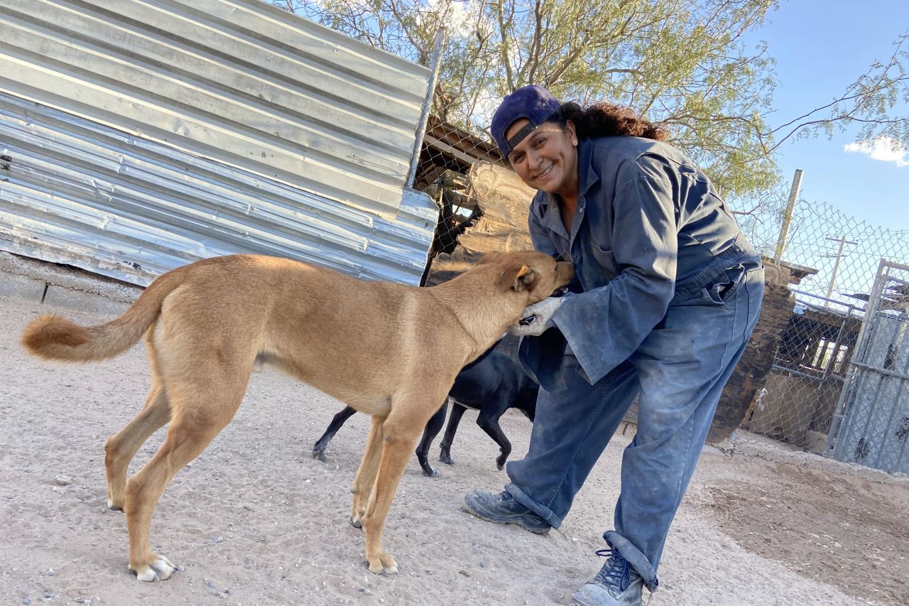 Estos son los requisitos para adoptar una mascota en albergues de Ciudad Juárez