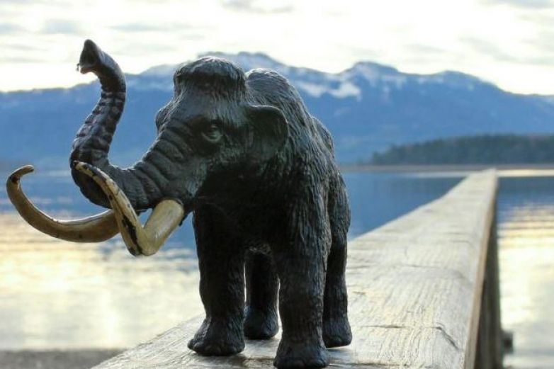 Extinción de mamuts y bisontes, principal causa de incendios en el mundo