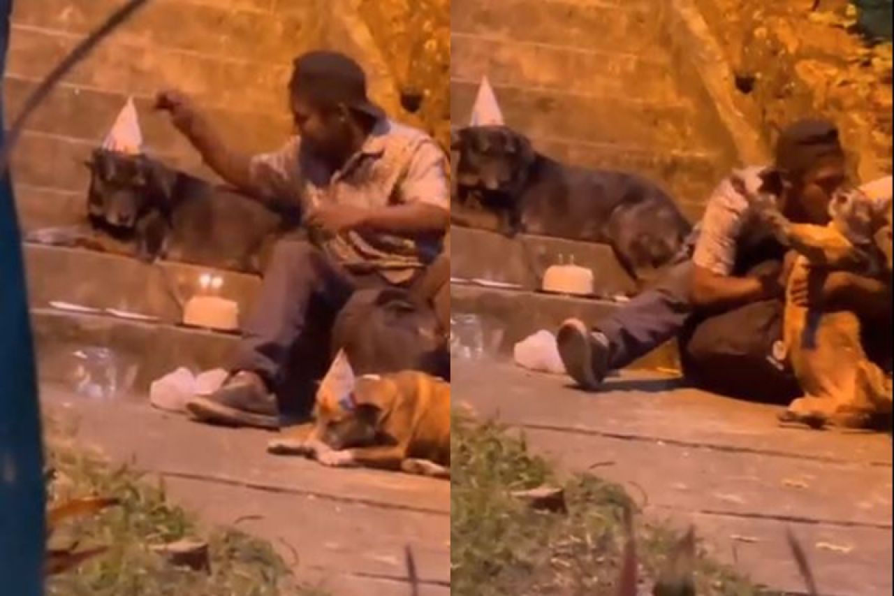 Video: Hombre en situación de calle festeja cumpleaños de perritos