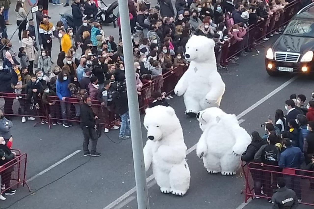 Oso polar pierde la cabeza durante desfile y causa furor en redes