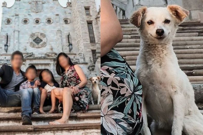 Perrito callejero se cuela en foto familiar de turistas 