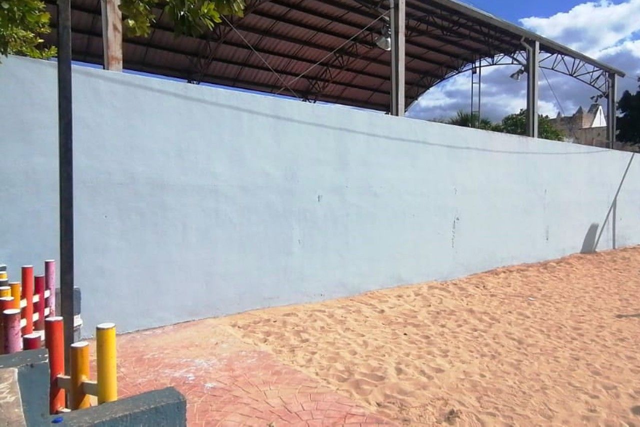 Sorprenden policías a mujer grafiteando y la ponen a limpiar y repintar