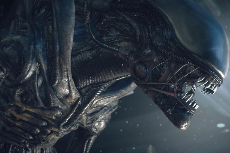 Video Hallan ‘alien’ en Australia