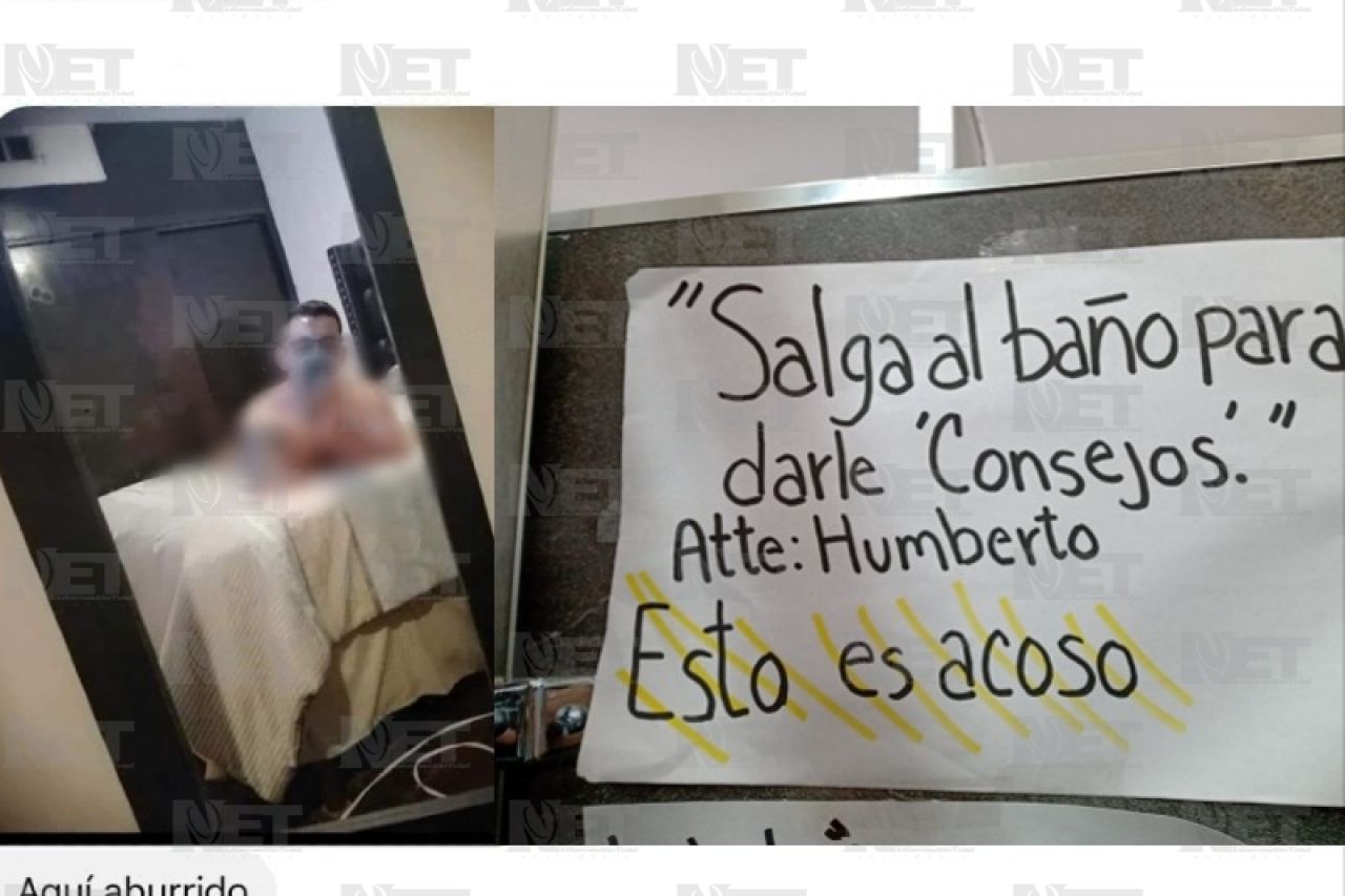 Net Noticias