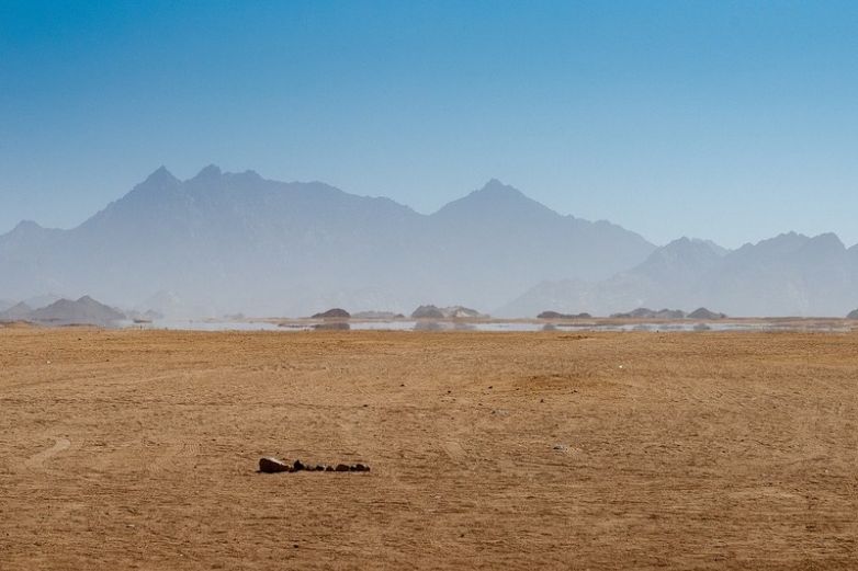 Disminuye producción agrícola en Meoqui por sequía