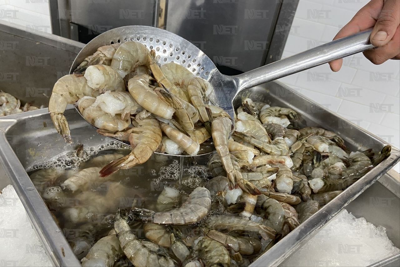 Llama Coespris a tener cuidado al consumir mariscos