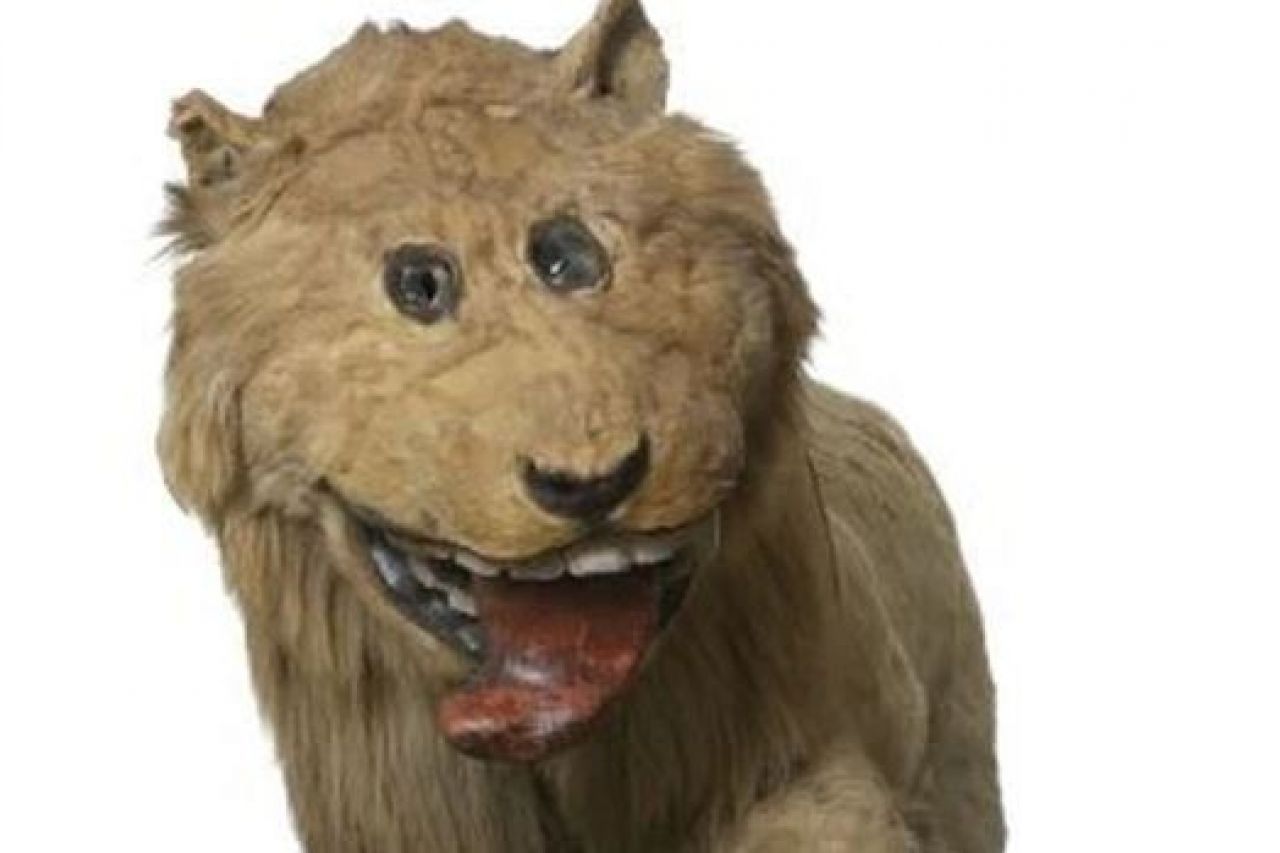 Él es Federico I de Suecia; el león disecado más feo