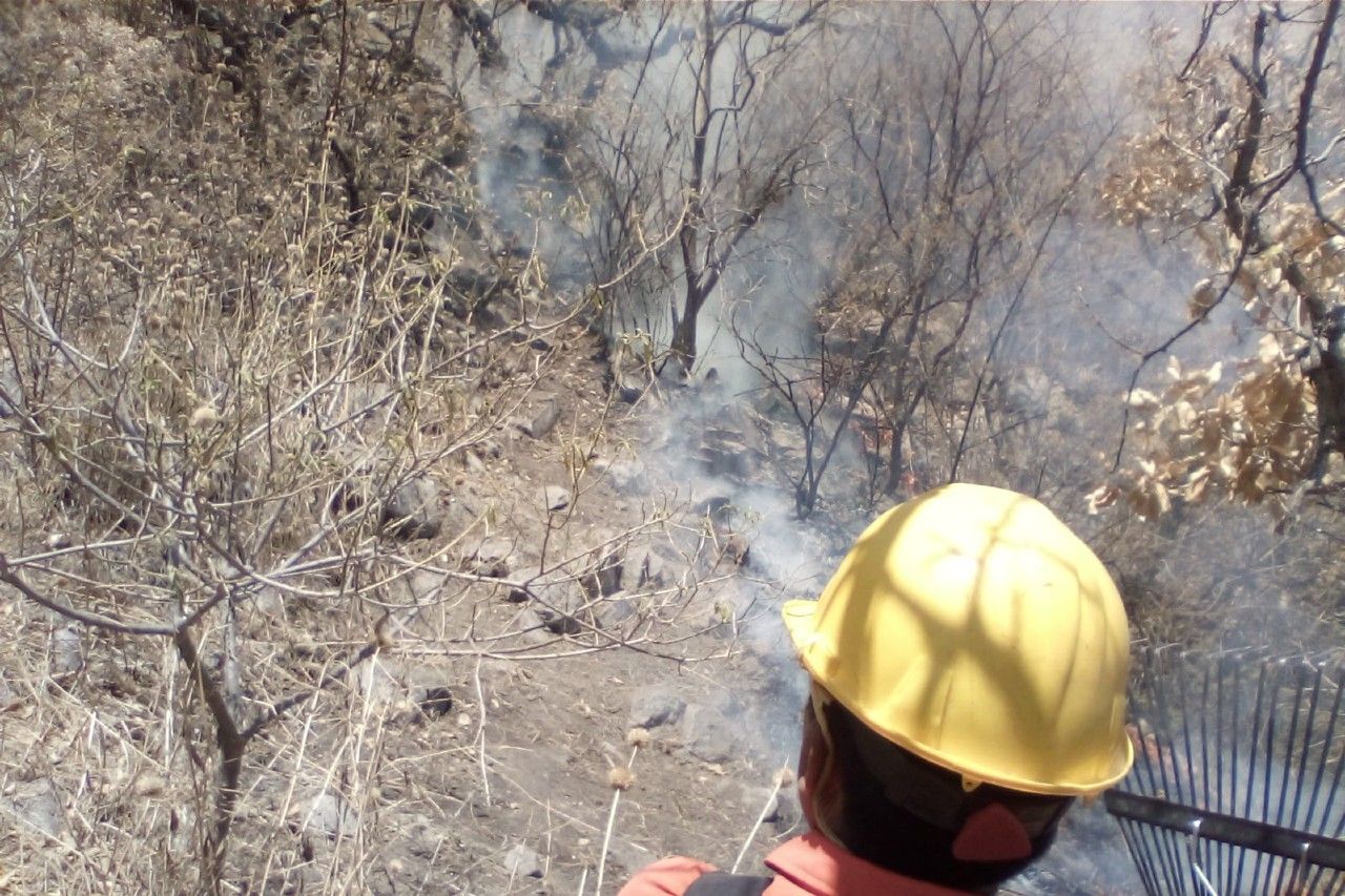 Intenta sofocar incendio forestal y muere calcinado en Oaxaca