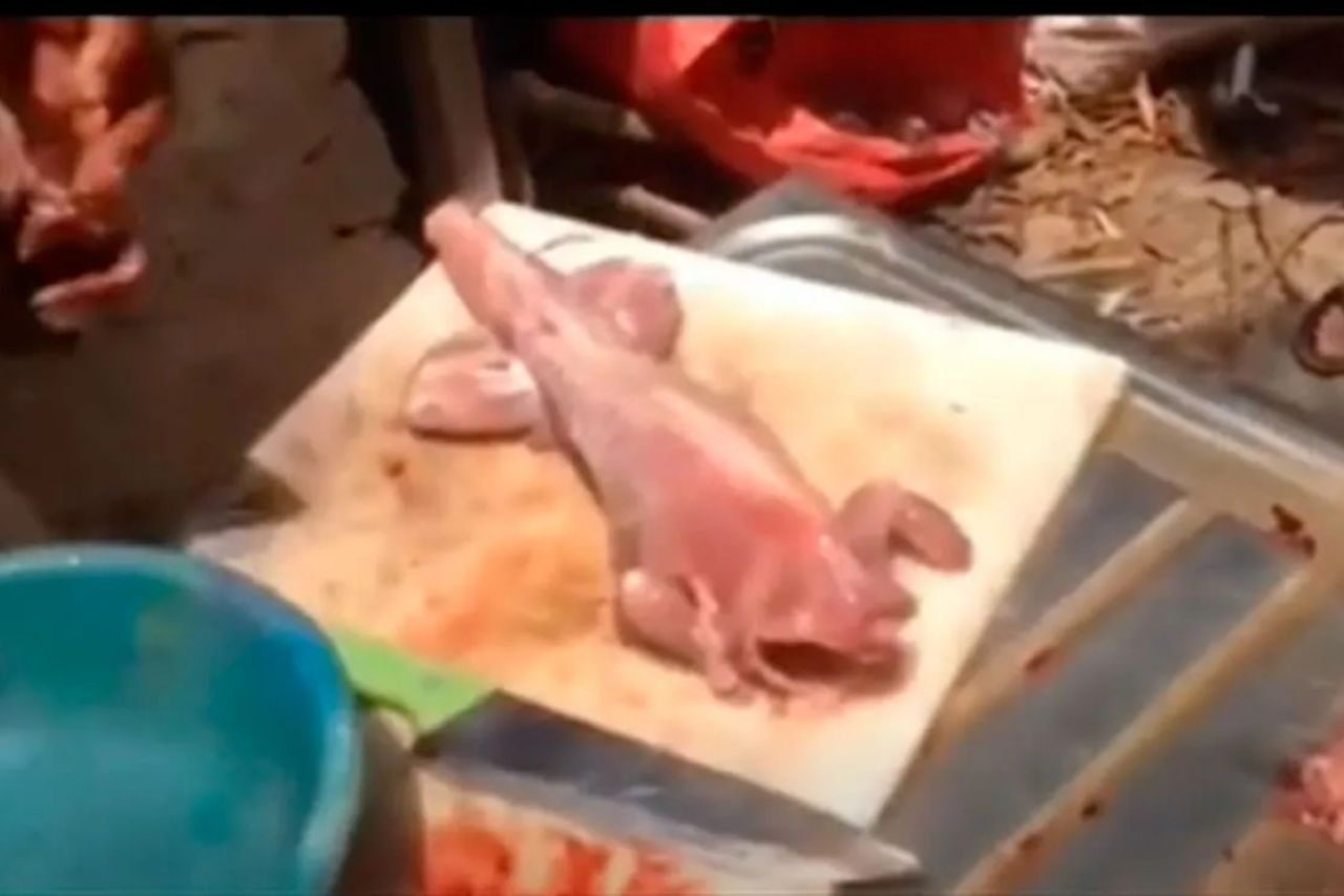 Video: Trozo de carne cobra vida antes de ser cocinado
