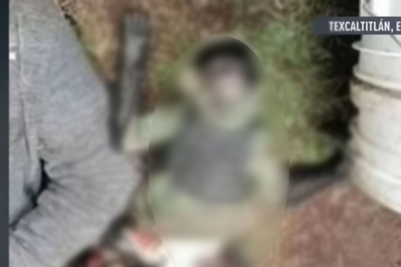 Video: Mono araña queda abatido junto a presunto sicario en Edomex