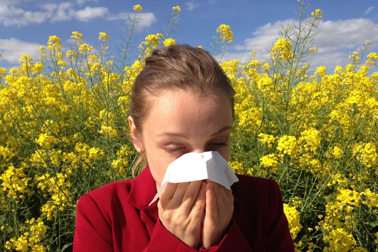 Protégete de las alergias, el IMSS te dice cómo
