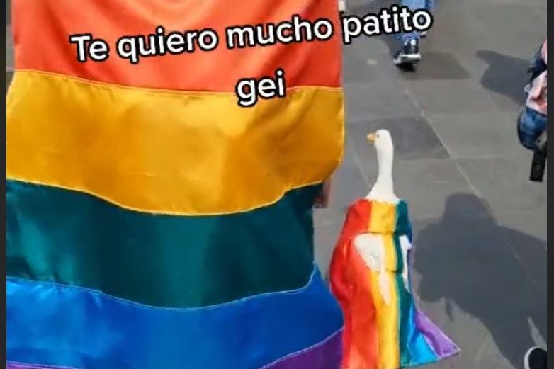 Video: Captan a 'patito gei' en marcha LGBT+ 