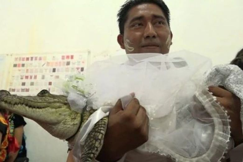 Video: Alcalde de Oaxaca se casa con cocodrilo 