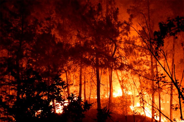 Voraces incendios en Chile se cobran 23 vidas