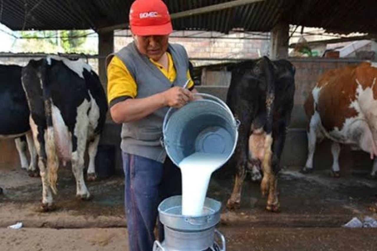 Inflación afecta a productores de leche en Chihuahua